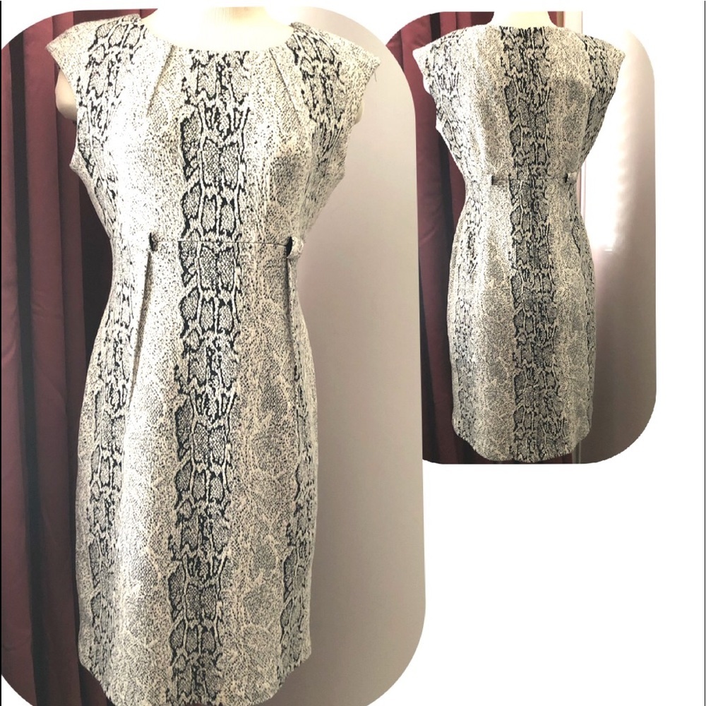 Calvin Klein Dress Black and White Animal Print Dress Size 8P